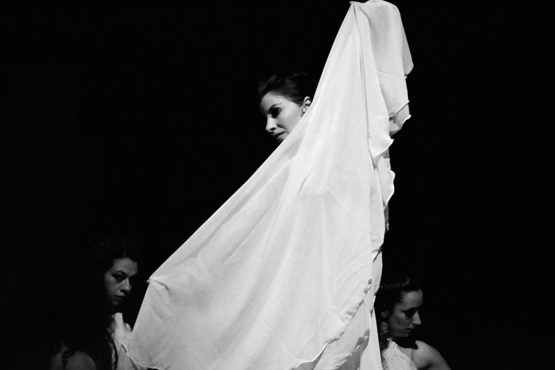 Salomé. La profecía atroz - Laura Dalto